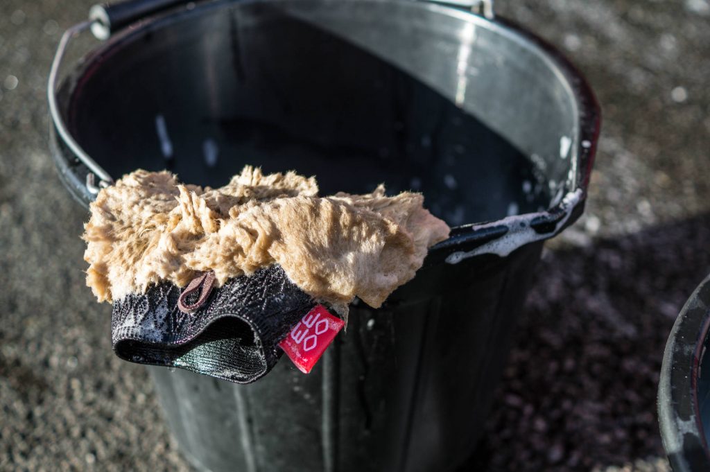 Wash Mitt