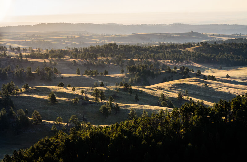 Black Hills National Forest, South Dakota & Wyoming