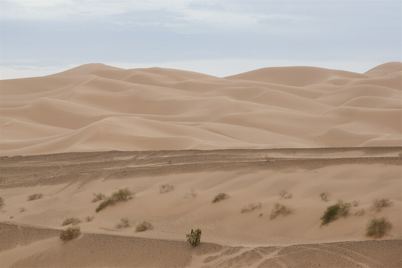 Imperial Sand Dunes, Yuma, California