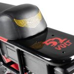 Ariel Rider Grizzly