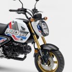 2022 Honda Grom SP Fork