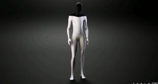 Tesla Tesla Bot Elon Musk