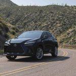 2022 Lexus NX