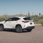 2022 Lexus NX