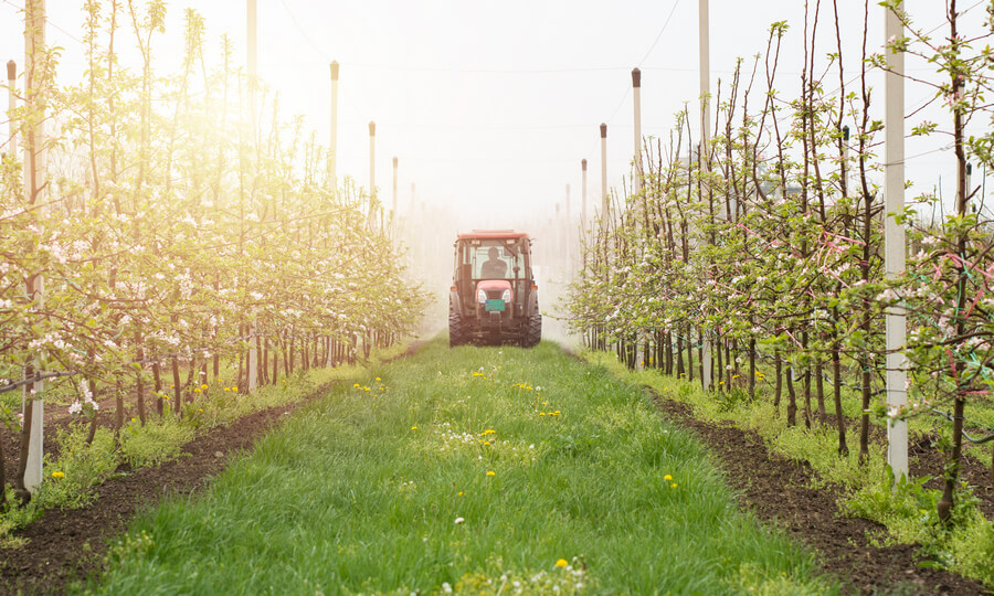 Tractor size for apple orchard fruit production
