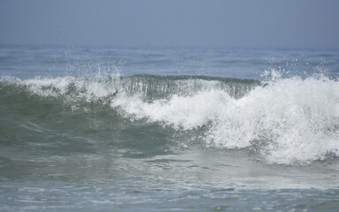 Ocean Barrel Wave Forming As It Breaks And Rolls Towards Shore Wall Mural Questions & Answers